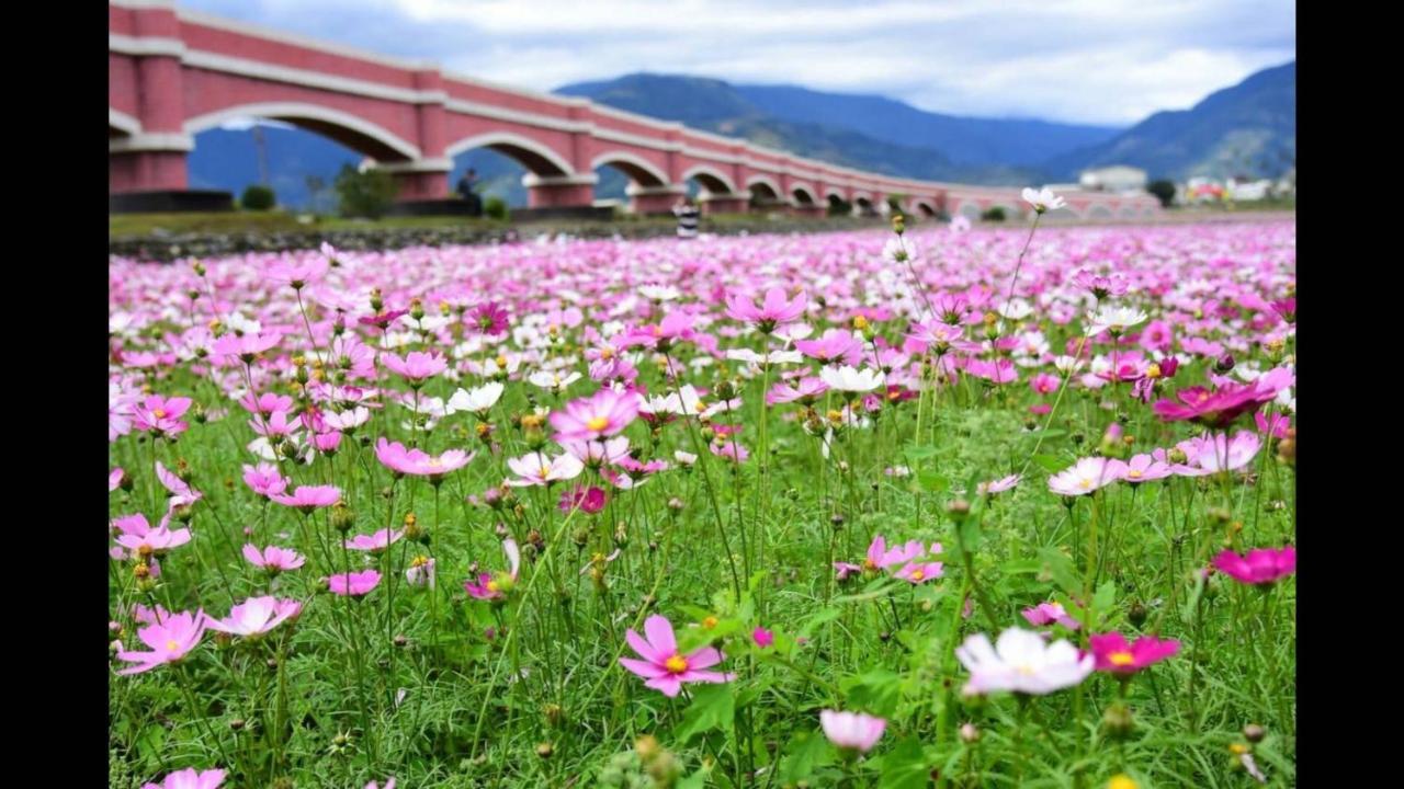 Rose Castle Apartment Taitung Bagian luar foto